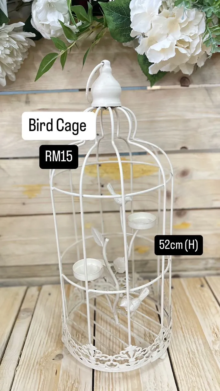 Bird Cage