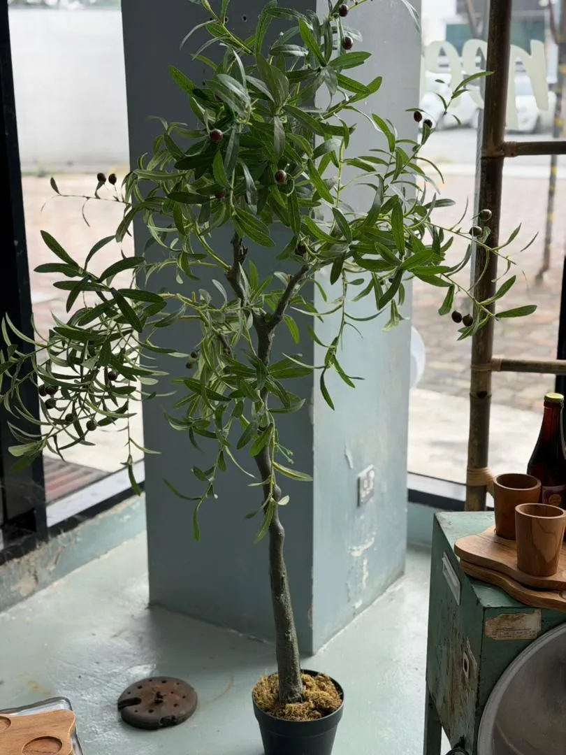 Artificial Olive Tree (pokok)