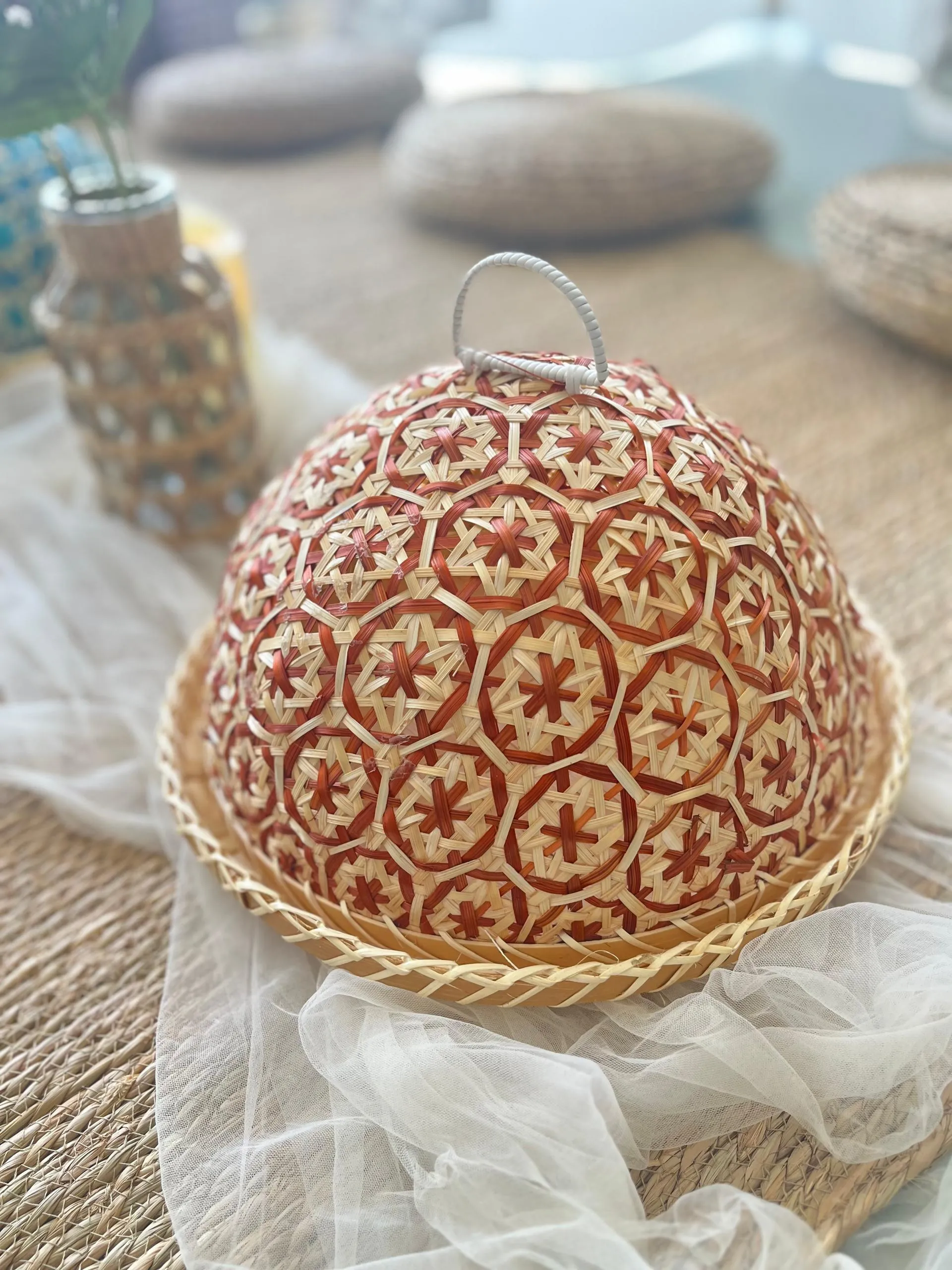 Colourful Rattan Food Cover 