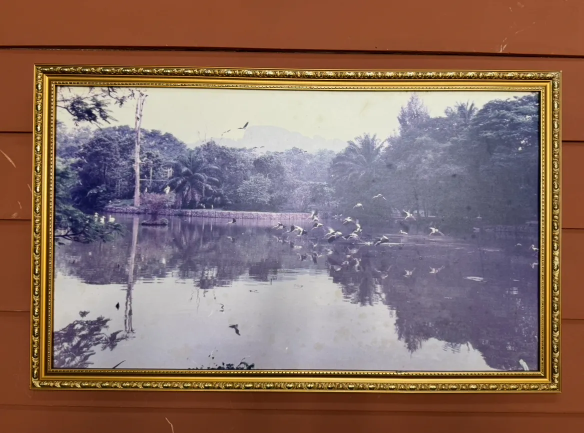Frame lama lake view