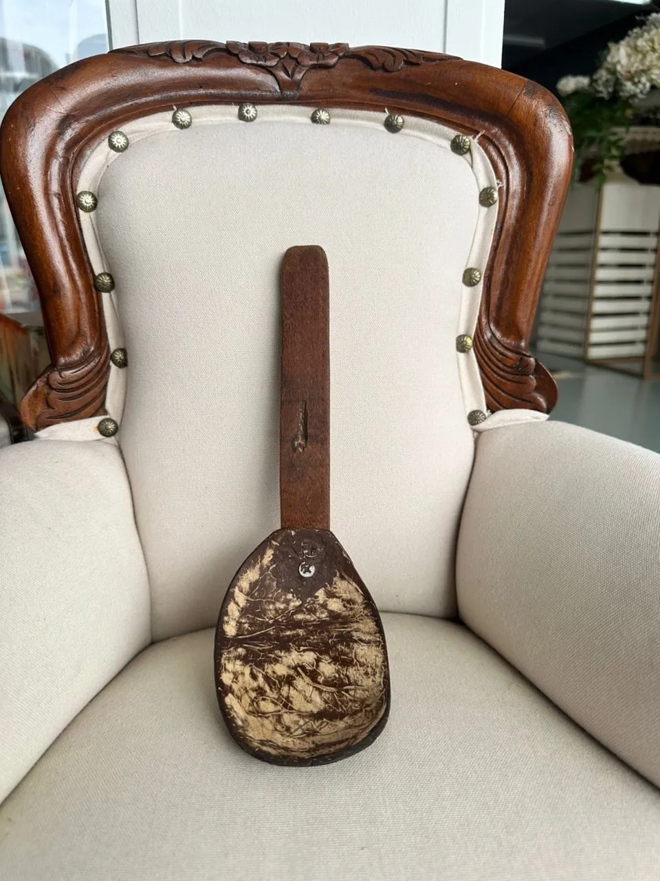 Senduk tempurung pendek