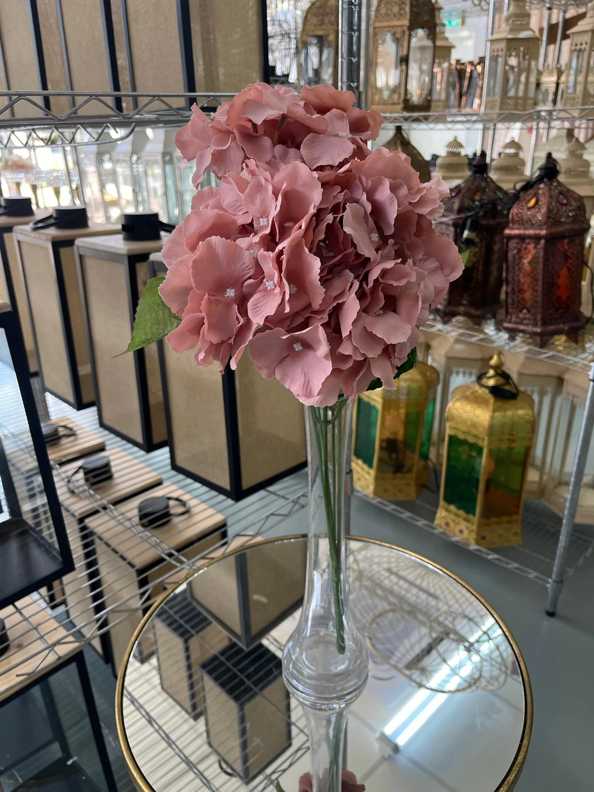 Flower Hydrangea Bush - Dusty Pink (NEW)