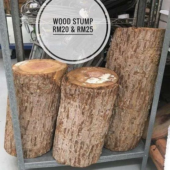 Wood Stump L