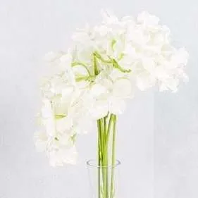 Flower Hydrangea - White (New)
