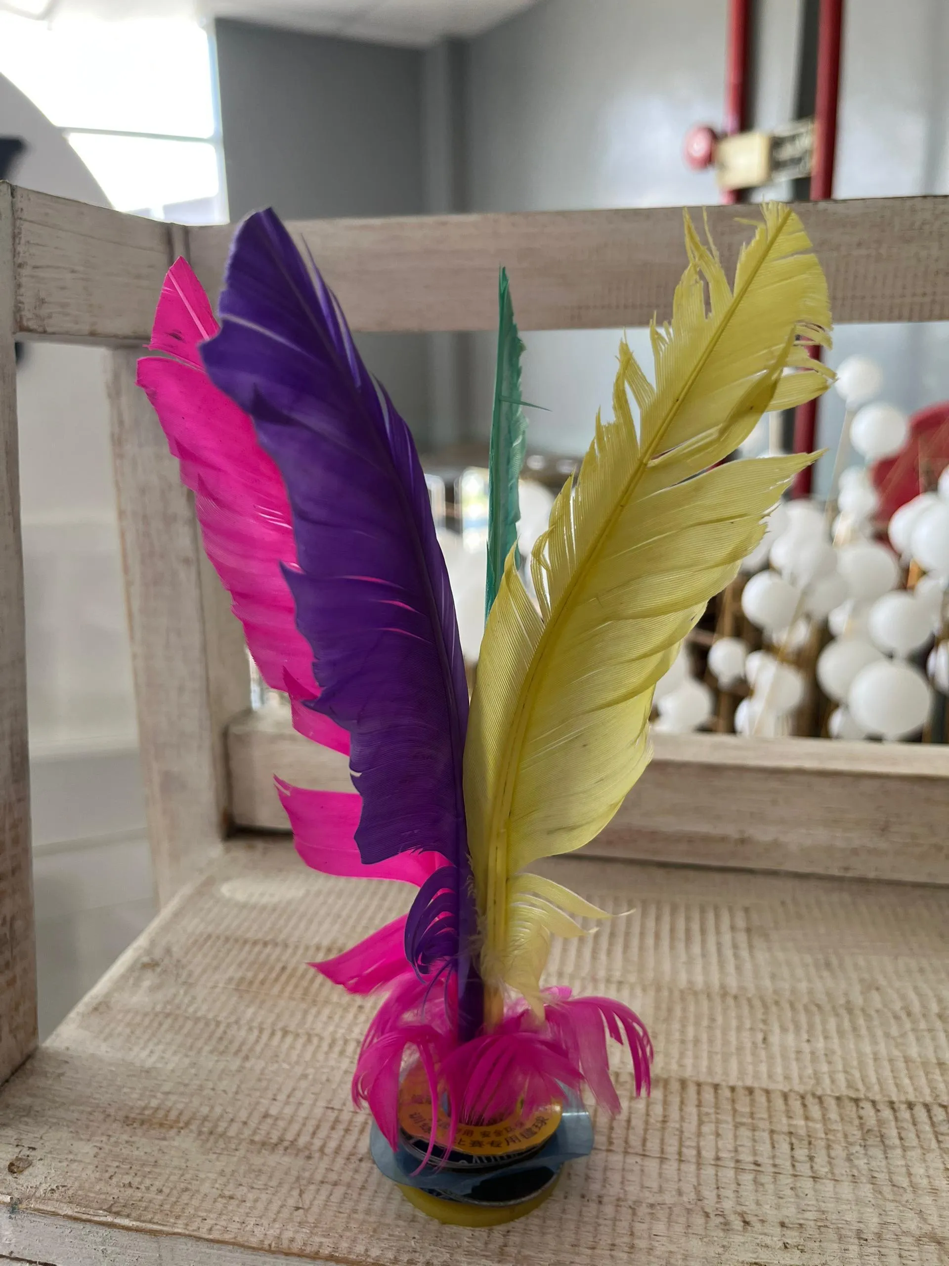 (SM) Capteh Bulu Ayam