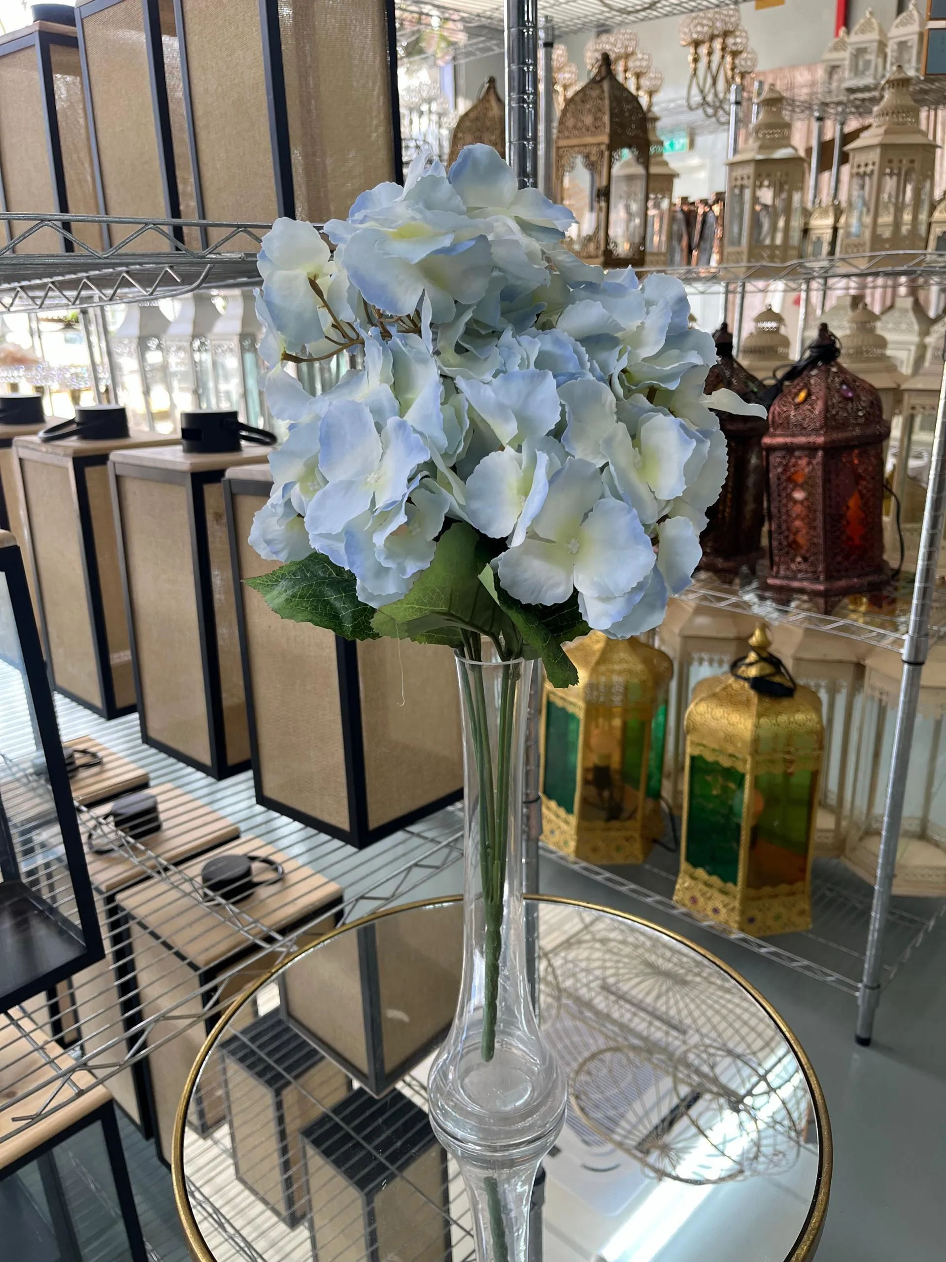 Flower Hydrangea Bush - Blue (NEW)