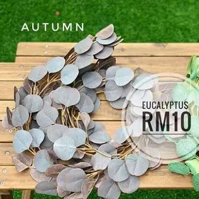 (CYB) Flora - Eucalyptus Autumn