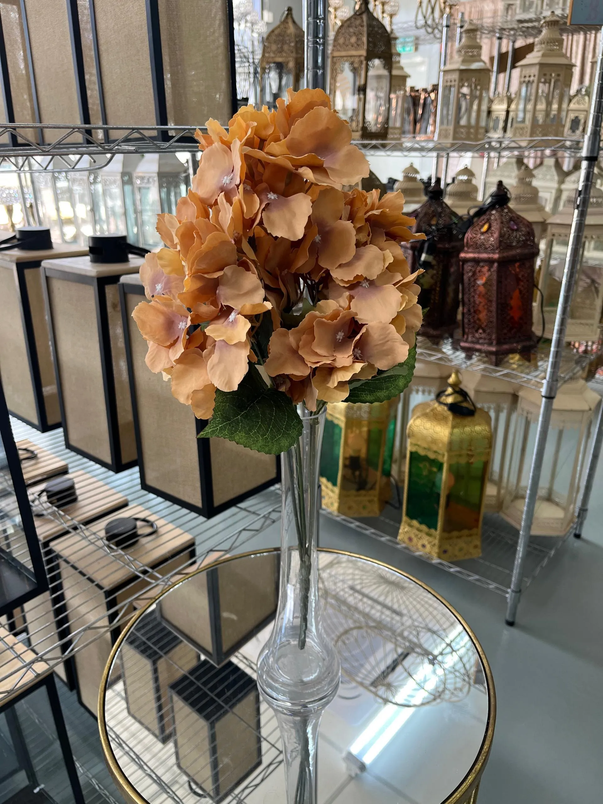 Flower Hydrangea Bush - Dark Chocolate (NEW)