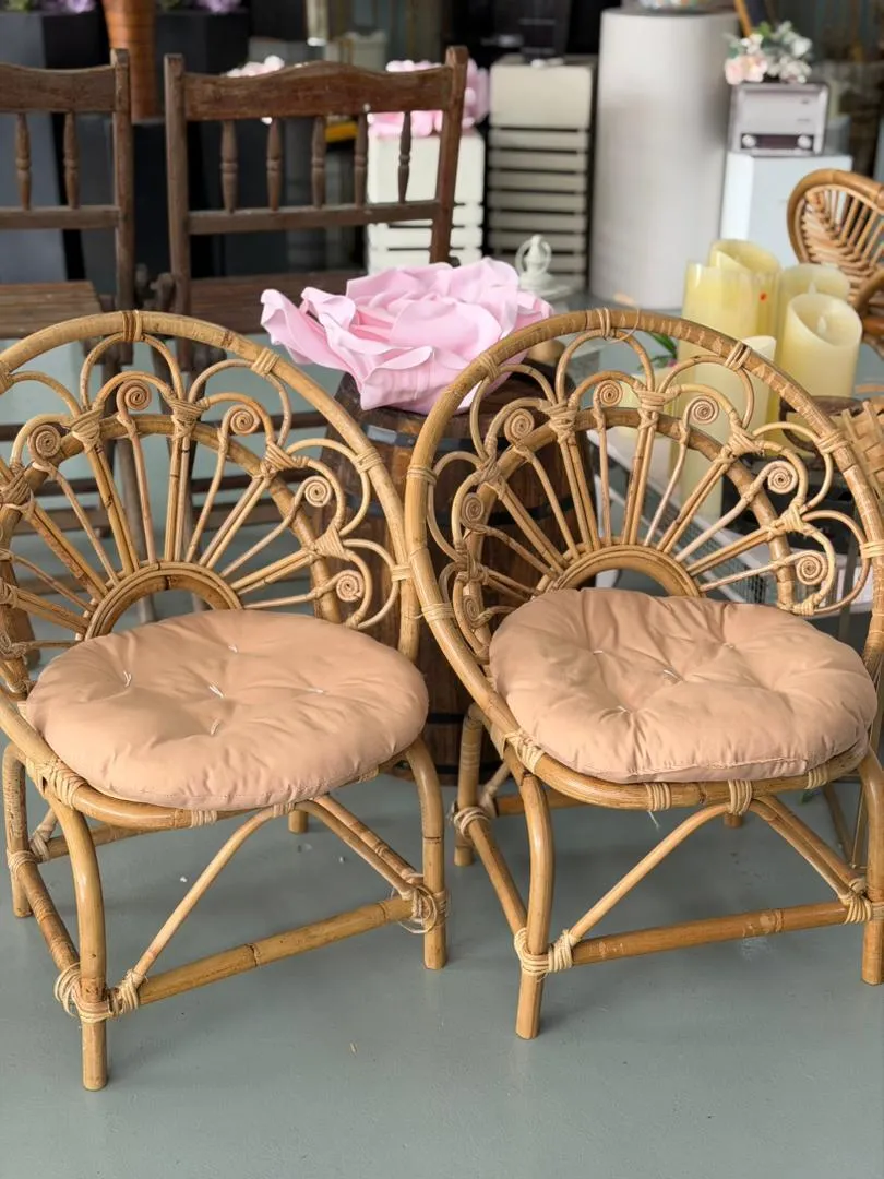 Peacock chair kids set of 2