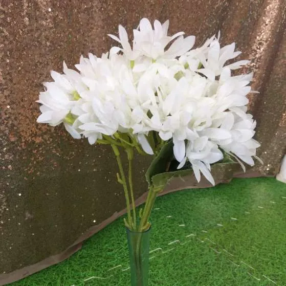 (CYB) Flower Daisy - White