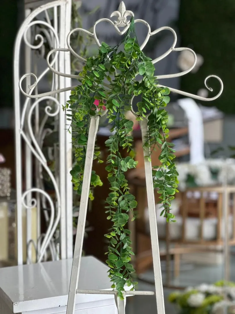 Vine Leaf (Daun Anggur)