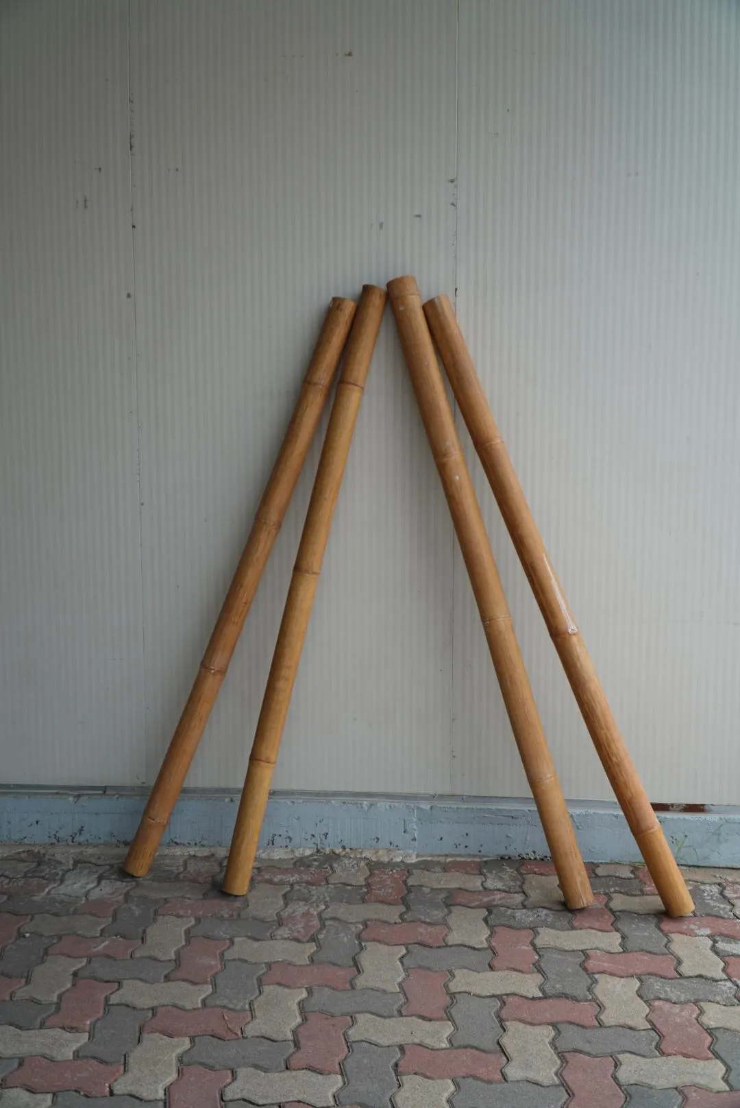 Bamboo Stick ( 180 cm ) H 
