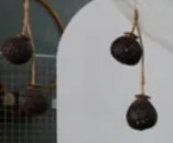 (SM) Kelapa Gantung Deco