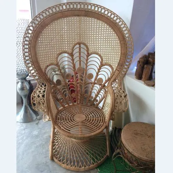 (CYB) Peacock Chair