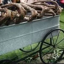 (CYB) NEWBORN/KIDS Props - Wagon Cart