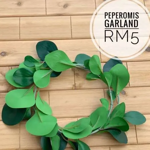 (CYB) Flora - Peperomis Garland