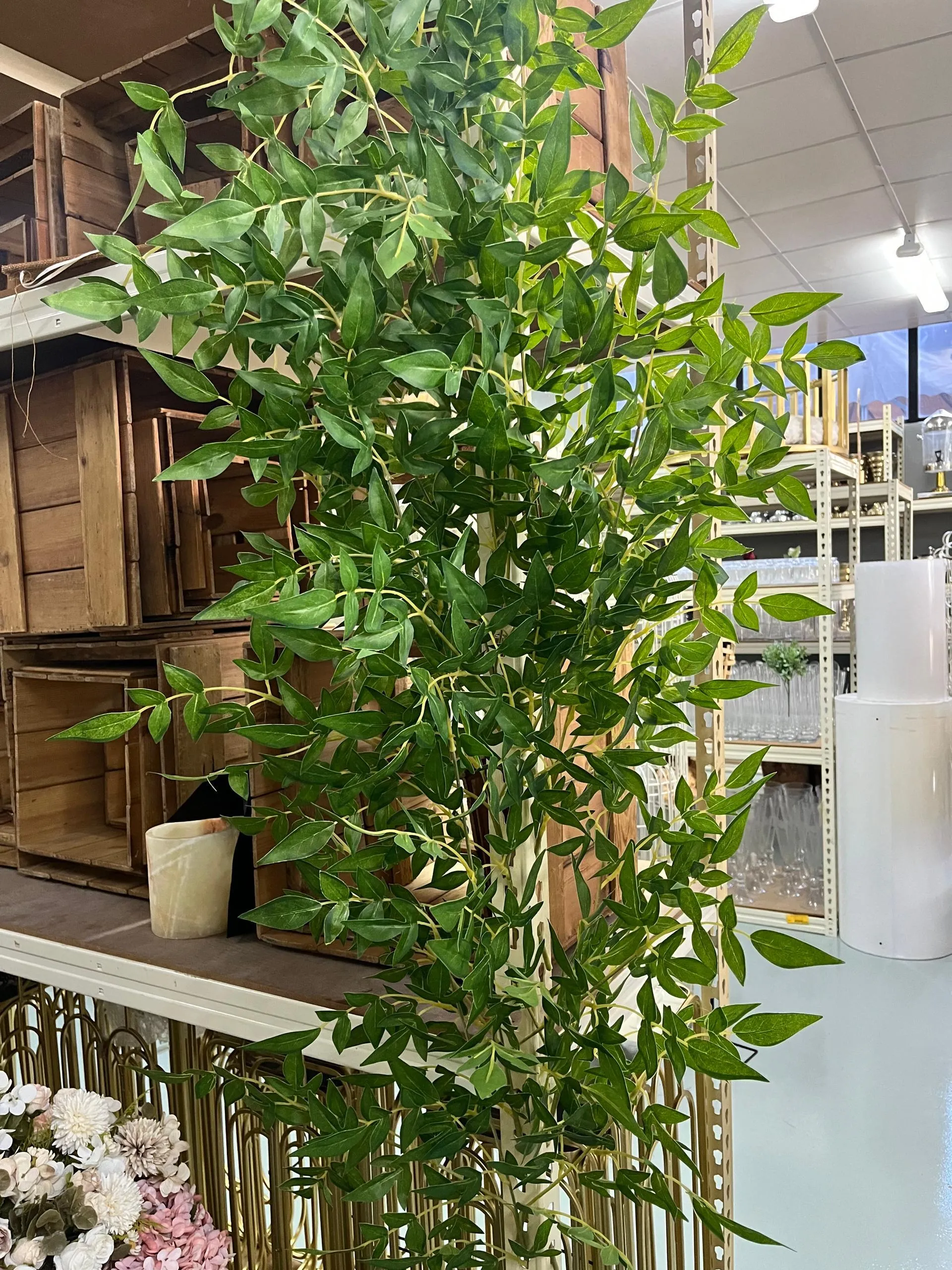 Flora - Stone Bamboo