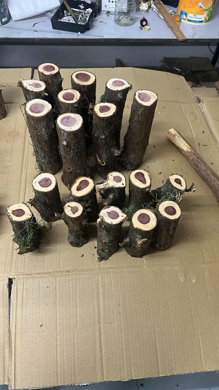 Pine Wood Tree (13.5cm Height)