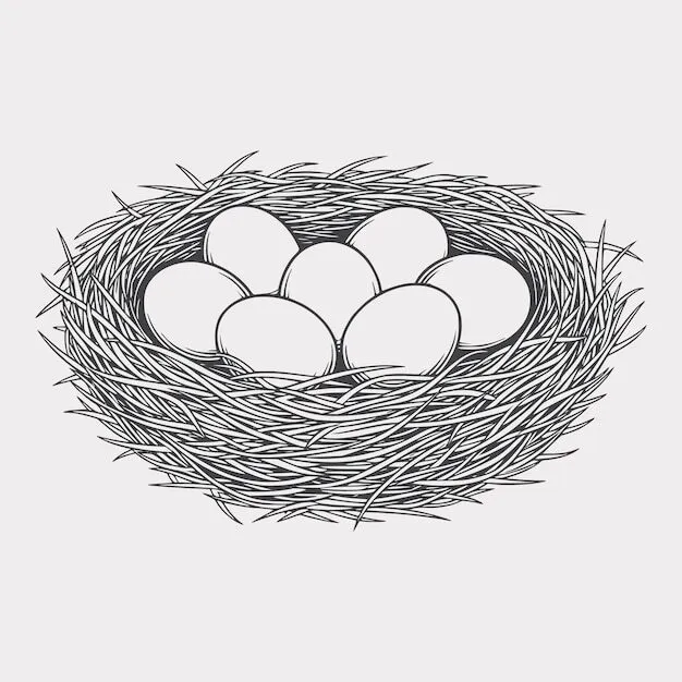 The "Full Nest" V1