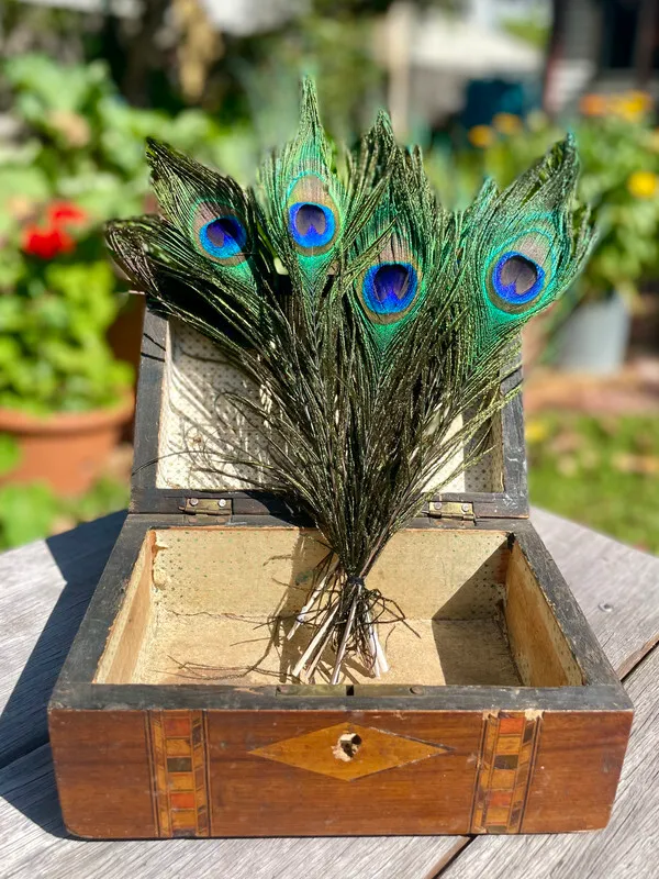Synthetic Peacock Feathers