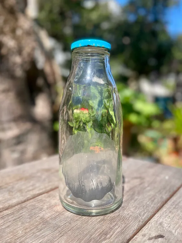 Clear Glass Bottle 4