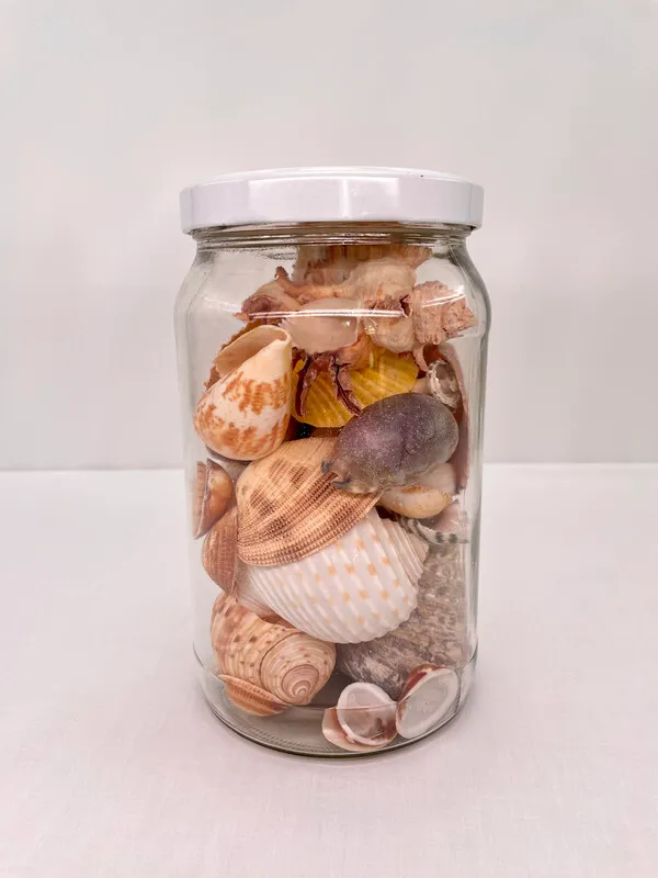 Jar of Seashells