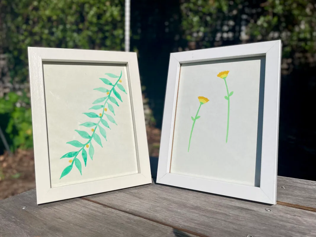 White Picture Frames