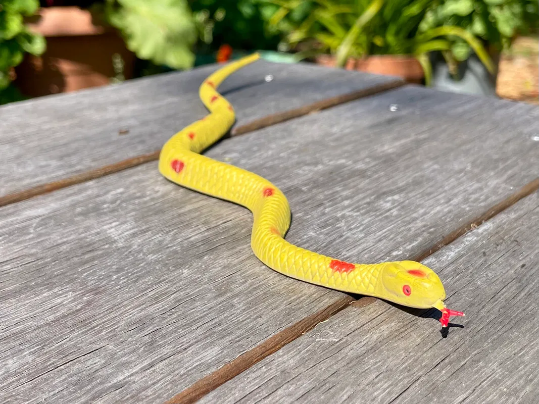 Rubber Snake