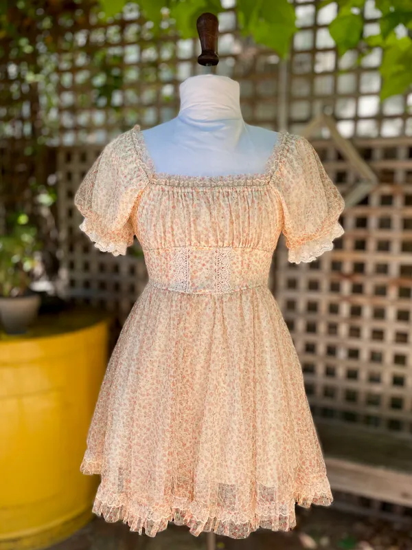 Floral Mini Dress with Gathered Bodice and Full Skirt