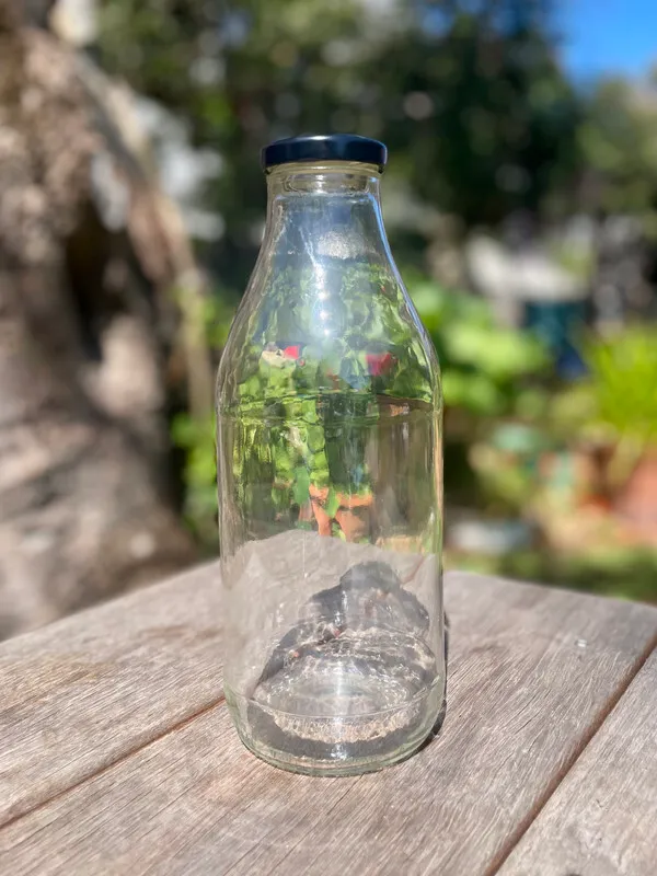 Clear Glass Bottle 3