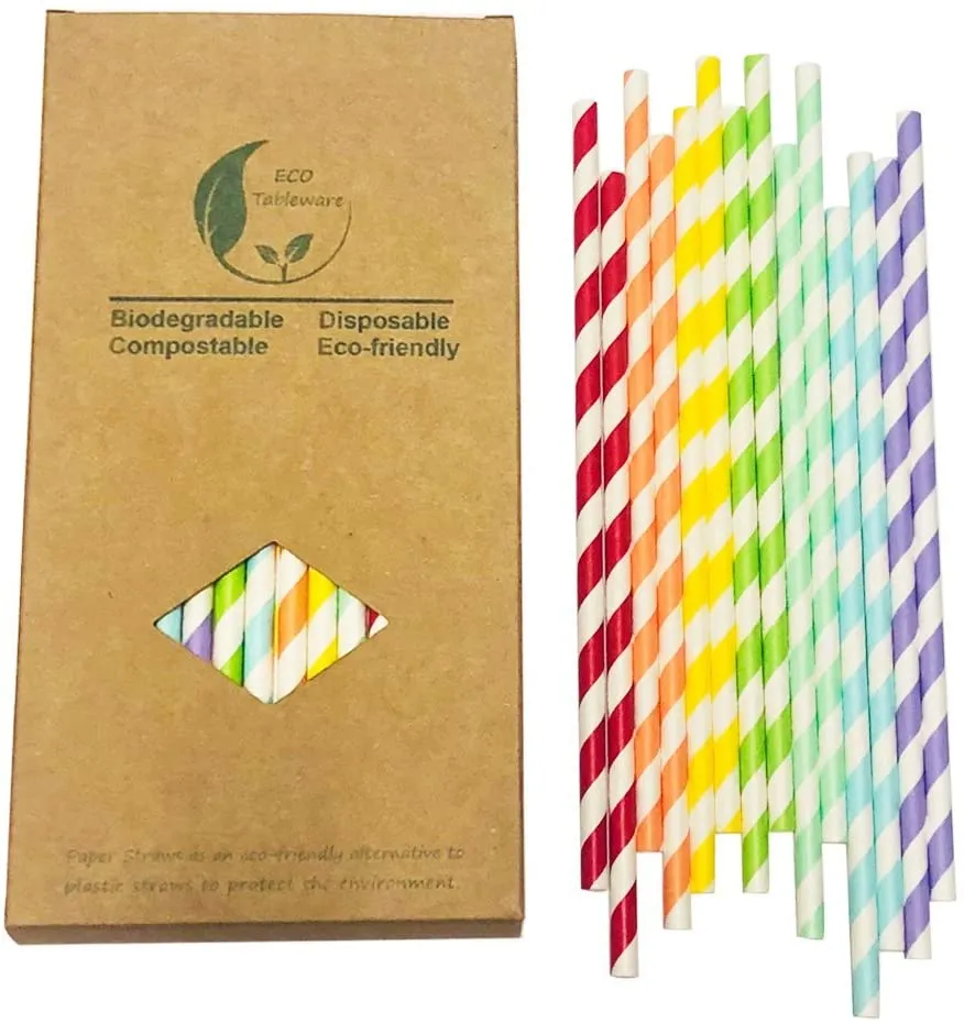 Rainbow Biodegradable Paper Straws (50 Count)