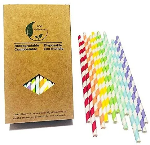 Rainbow Biodegradable Paper Straws (50 Count)