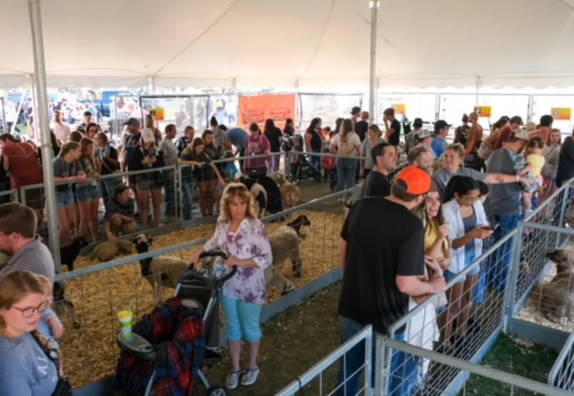 A large, multi-generational corporate family day event on a spacious park field, featuring children playing on giant inflatables, parents cheering from a shaded lounge, and a vibrant carnival game midway.