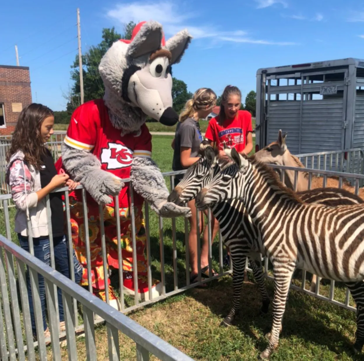 A packed corporate company picnic bustling with high turnout, where happy employees and their children are lining up for fresh cotton candy, racing through giant inflatables, and relaxing in a beautifully shaded outdoor lounge area.