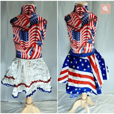 M63 - American Flag Printed Leotard & Skirt