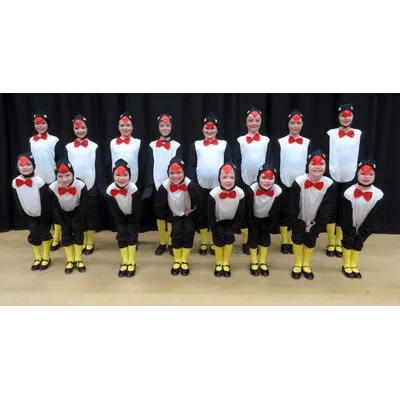 W9 - Penguin Costume