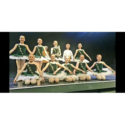 T77 - Green & Gold Tutu Child Sizes