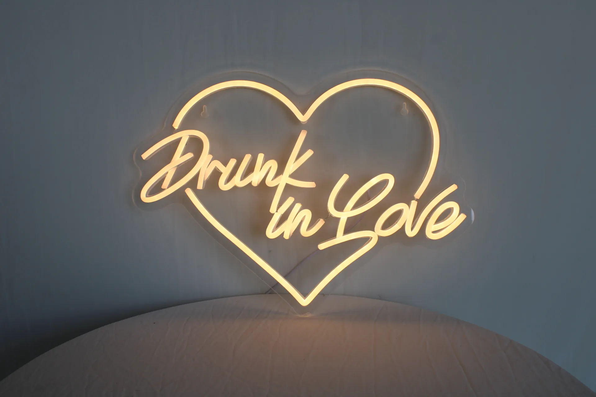 Drunk in love neon sign