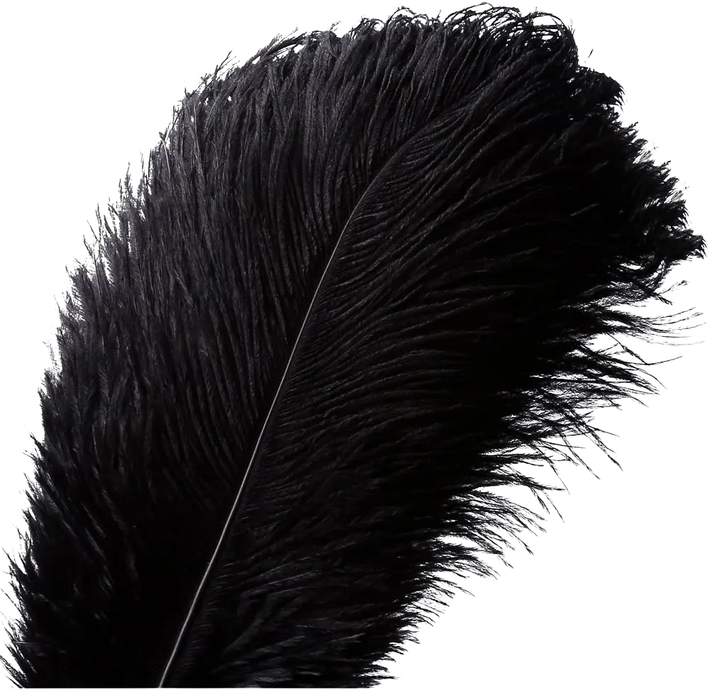 Black Ostrich Feathers 
