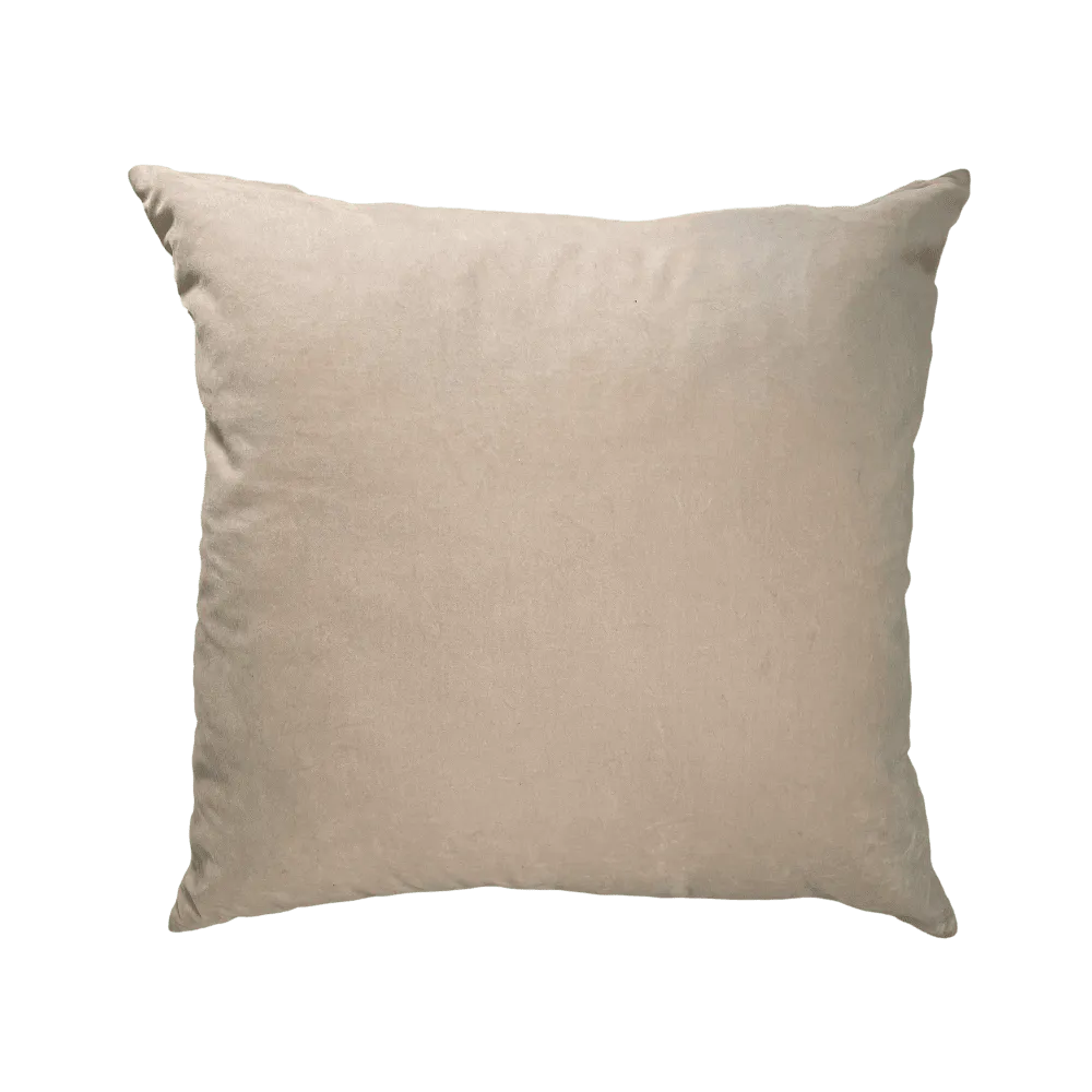 Ivory Velvet Pillows