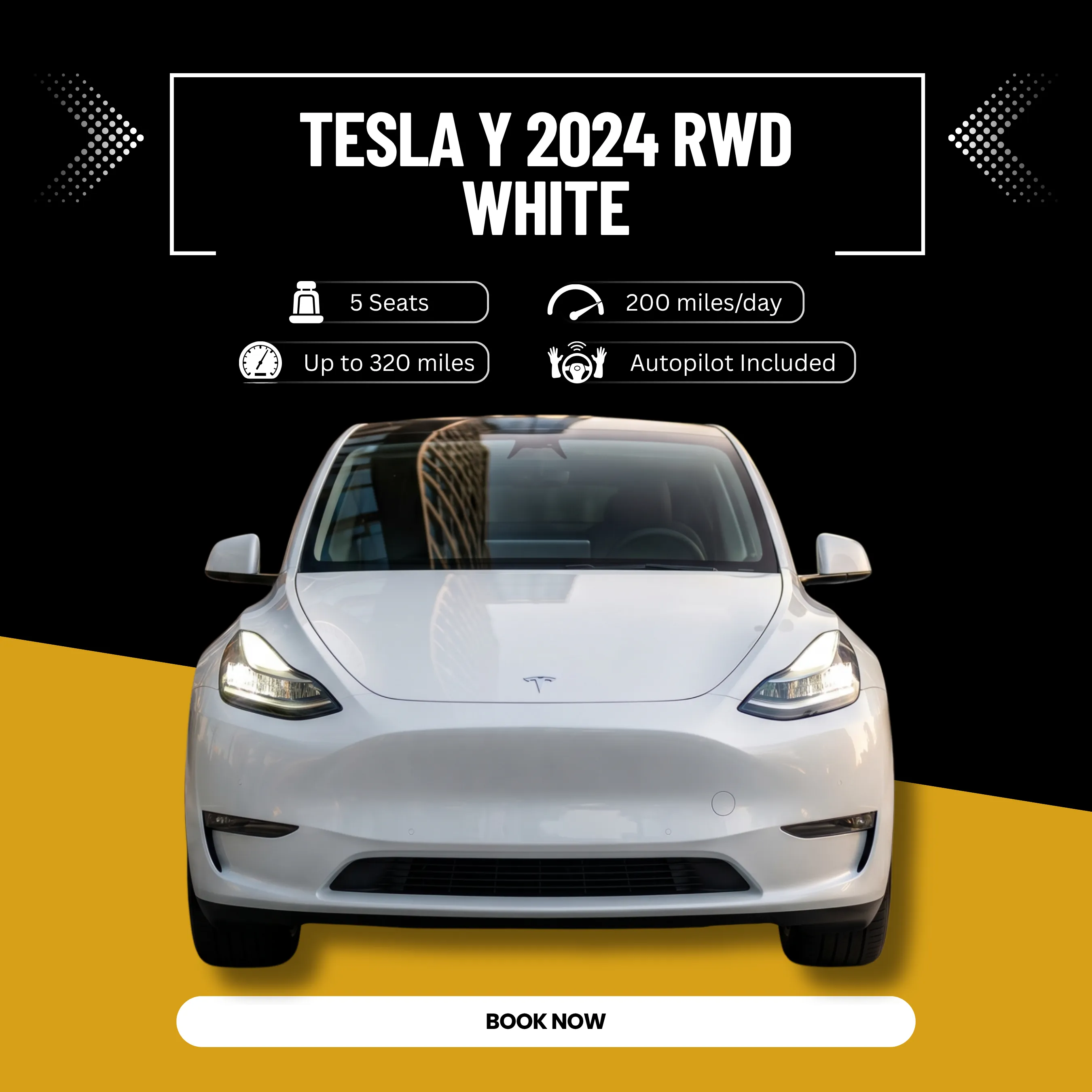TESLA Y 2024  RWD,White