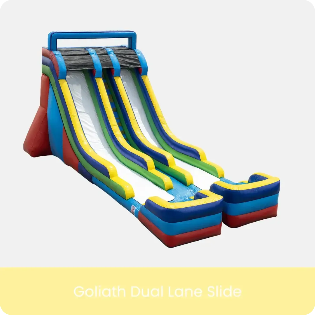 Water Slide Goliath Dual Lane Slide