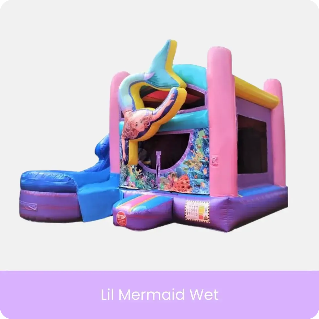 Water Slide Lil Mermaid Wet