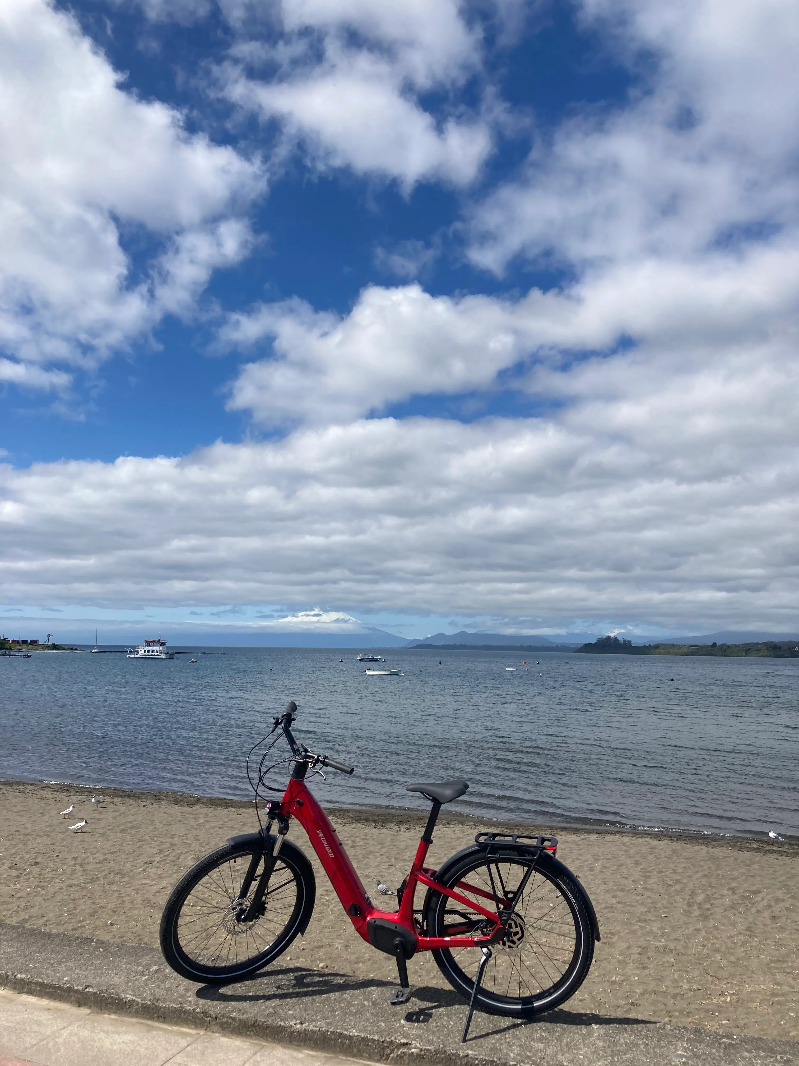 E-Bike Specialized 
