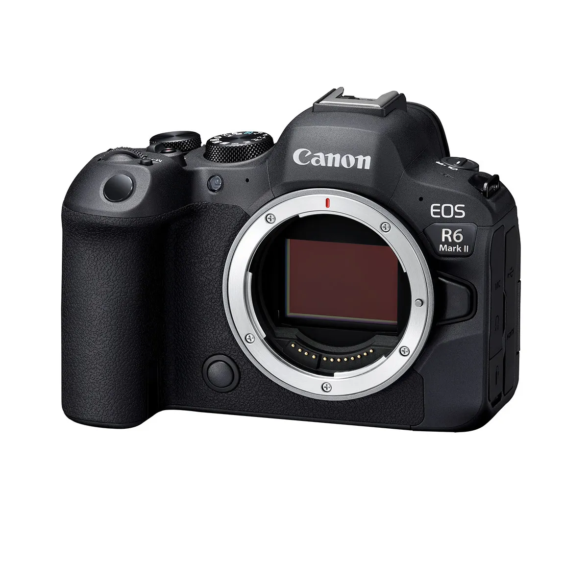 Canon R6ii