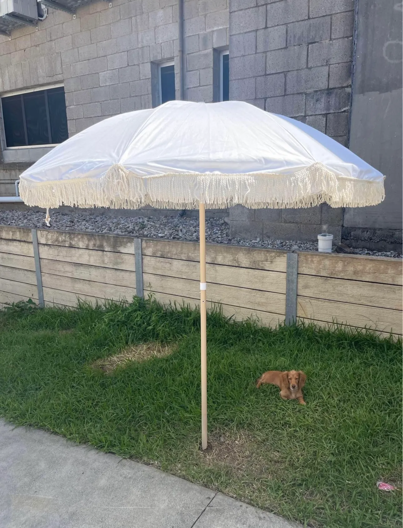 Umbrella - White 1.8 White Land & Sand 