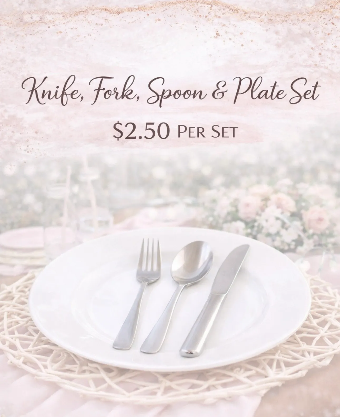 Bundle Dinner plate set per person 