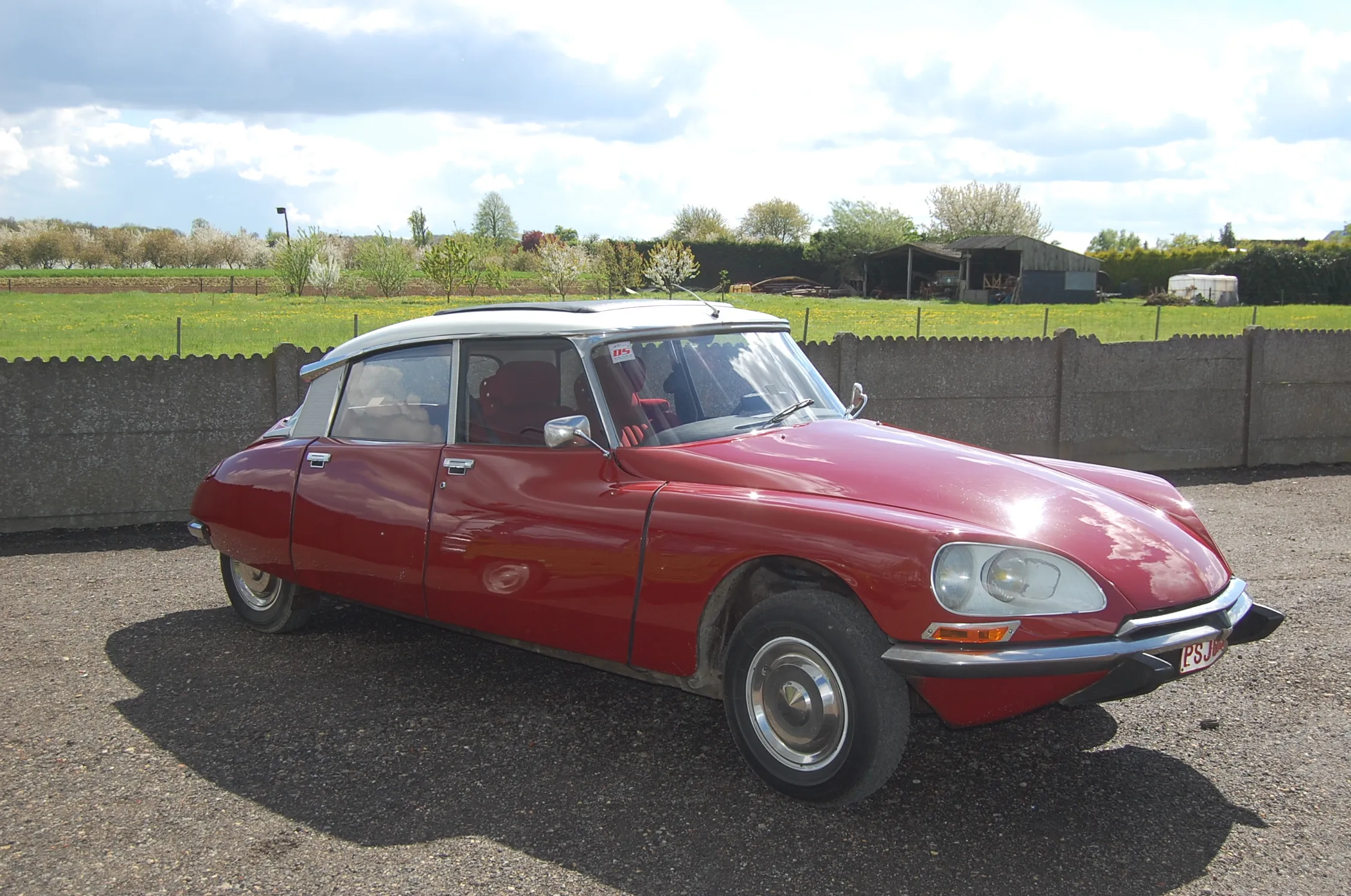 Hele dag met een DS bon