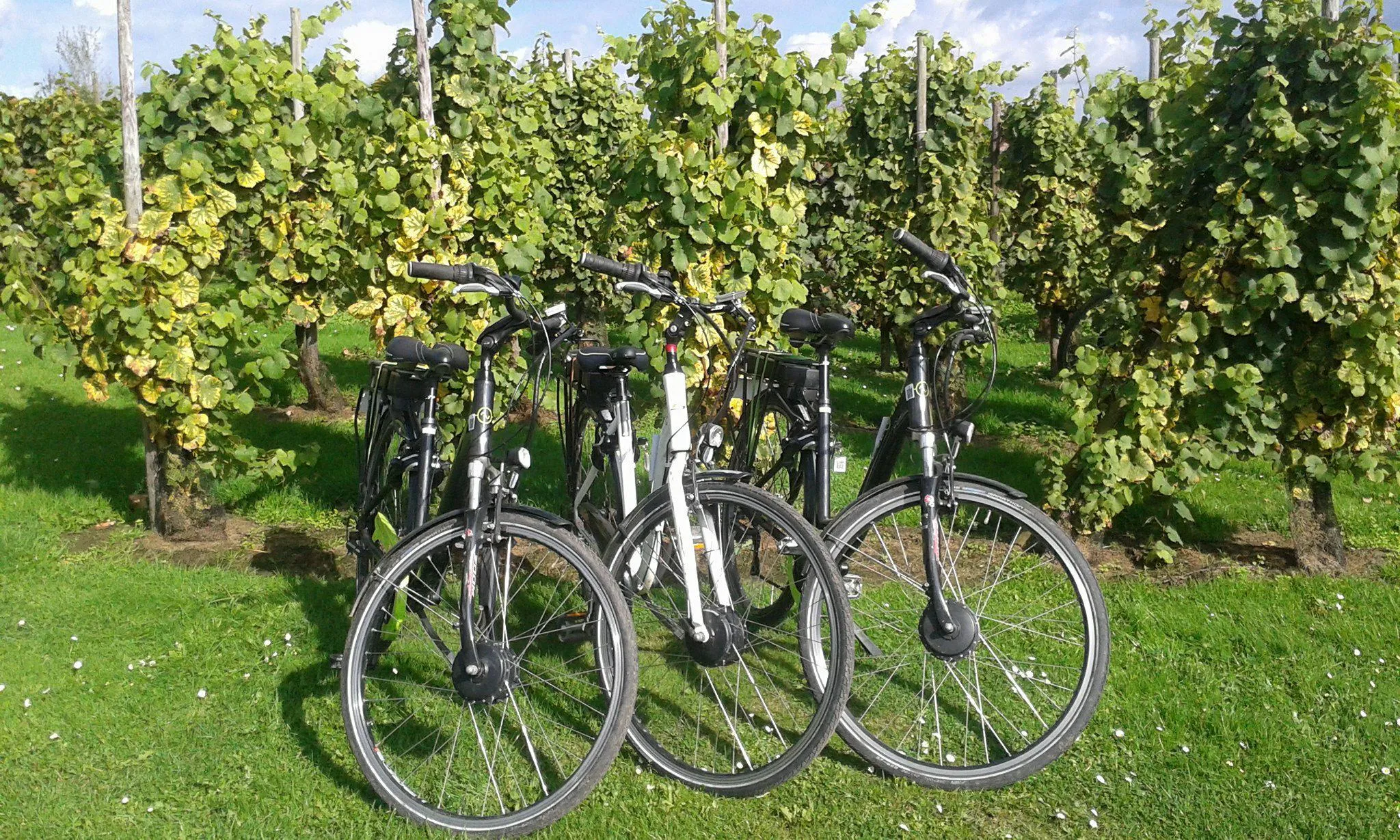 Tienen met de e-bike