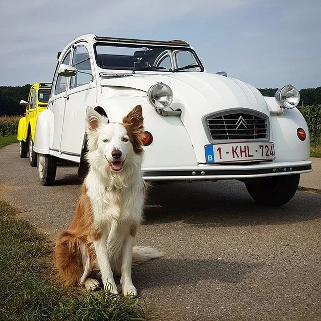 Routes met een Citroën 2PK (Tienen)
